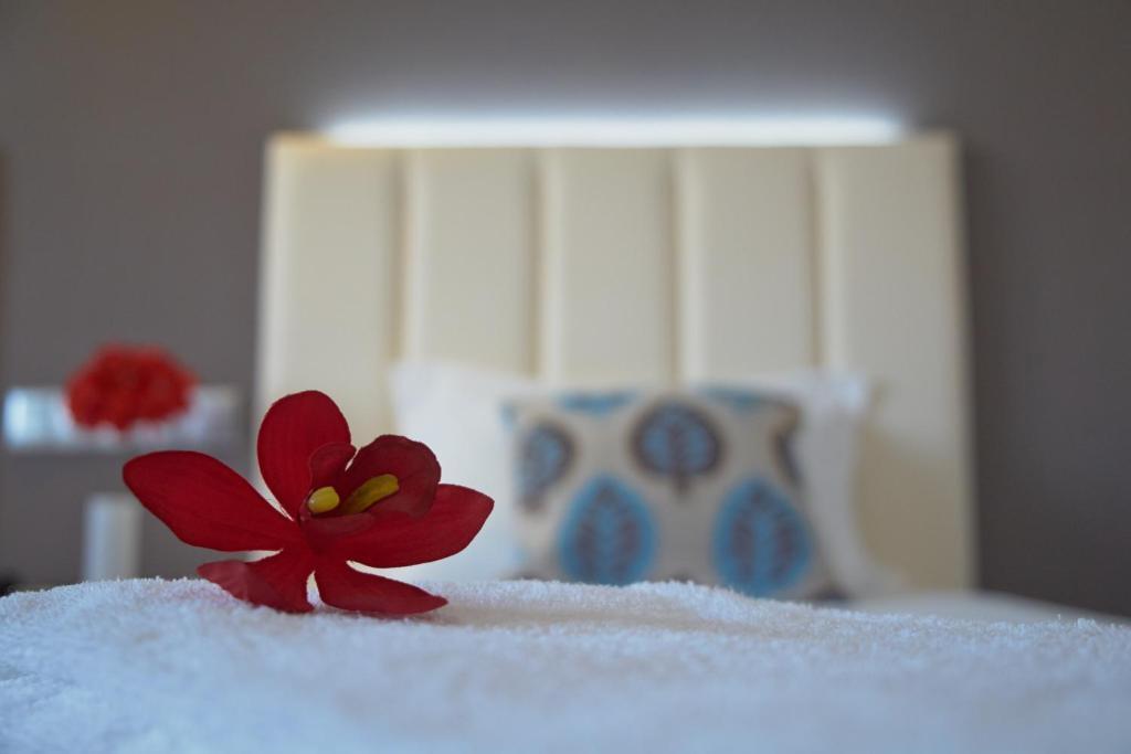 Hotel Azinheira By Ridan Hotels Fátima Cameră foto